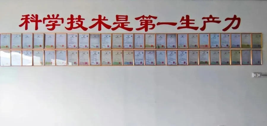 Waar komt het ‘harde concurrentievermogen’ van Eihe Steel-Structure vandaan, dat op nummer 1 staat onder Qingdao-collega’s?