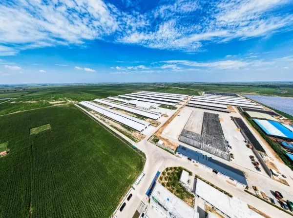 Stalen structuur voedselverwerkingsfabriek